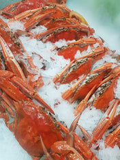 Sub Zero Flake Ice Machine (Evaporator Only) 2000kg of Ice - Staff