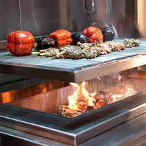 Asado Parilla Electric Wood Fire Grill PGA.EL