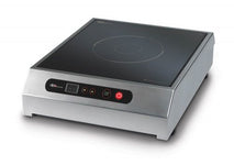 PORTABLE INDUCTION COOKER
