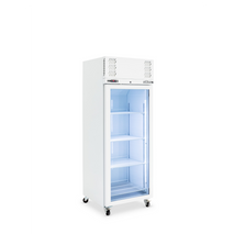 Diamond - One Door White Colorbond Upright Display Freezer